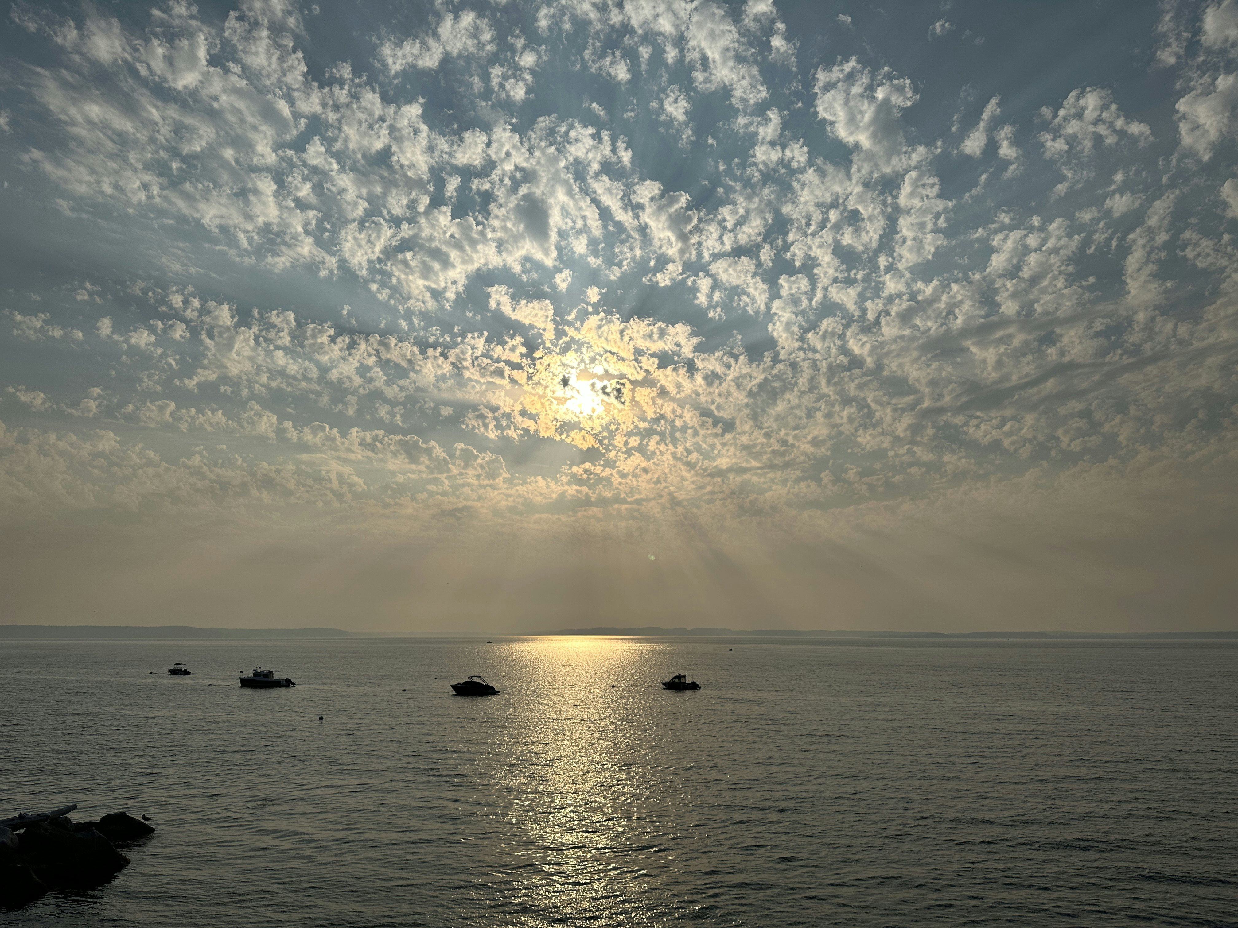 Click to View Larger