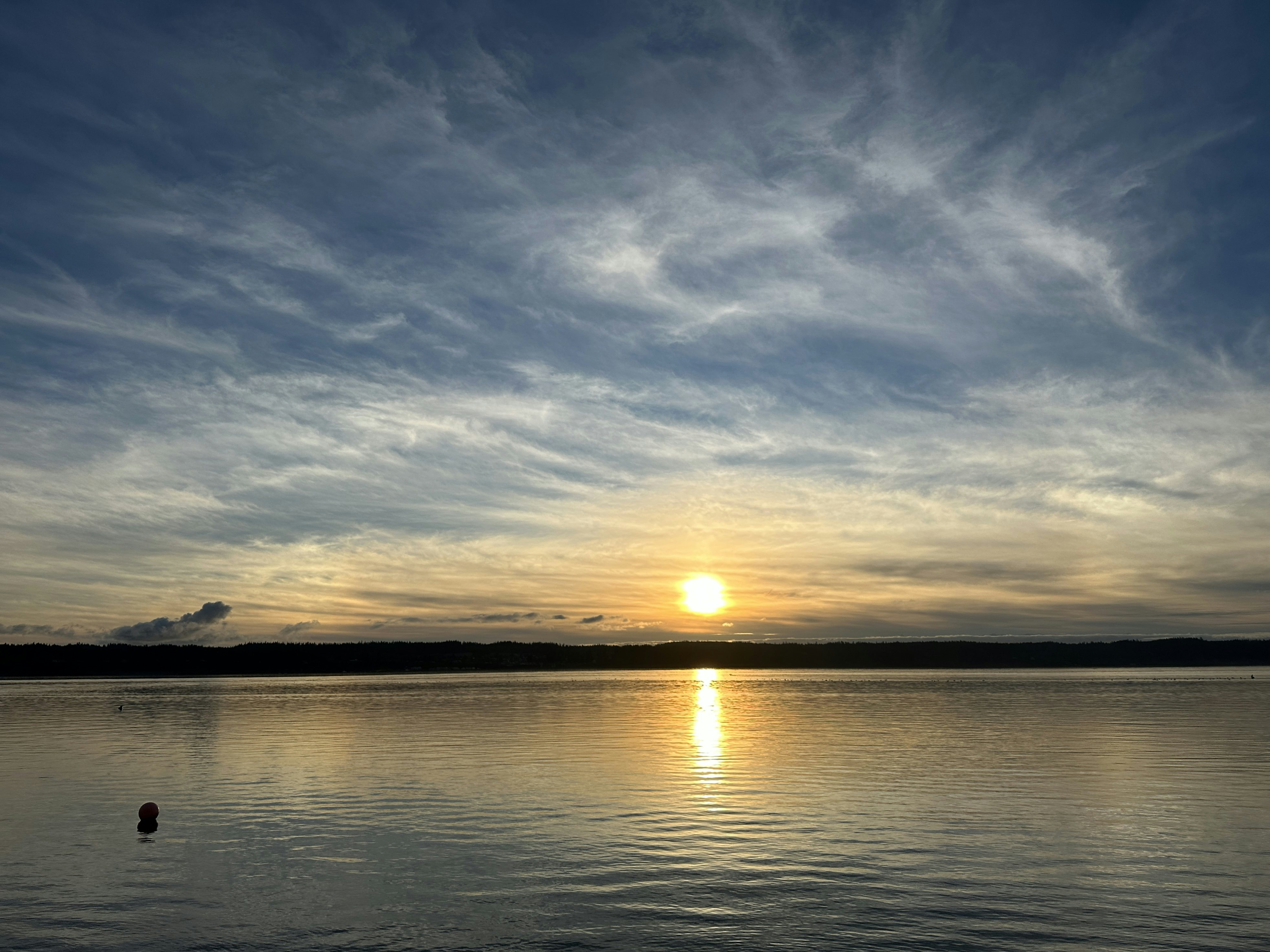 Click to View Larger