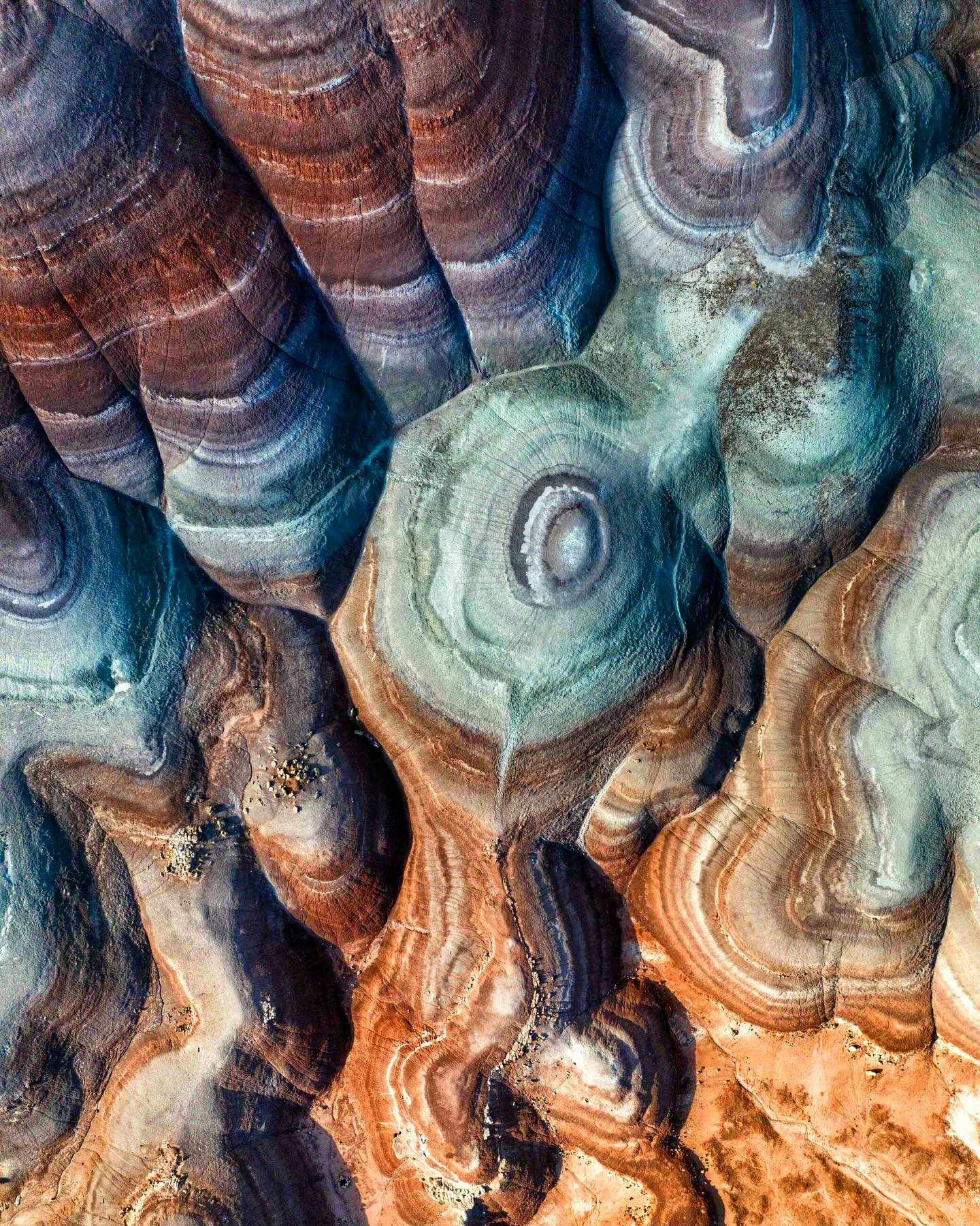 Click to View Larger