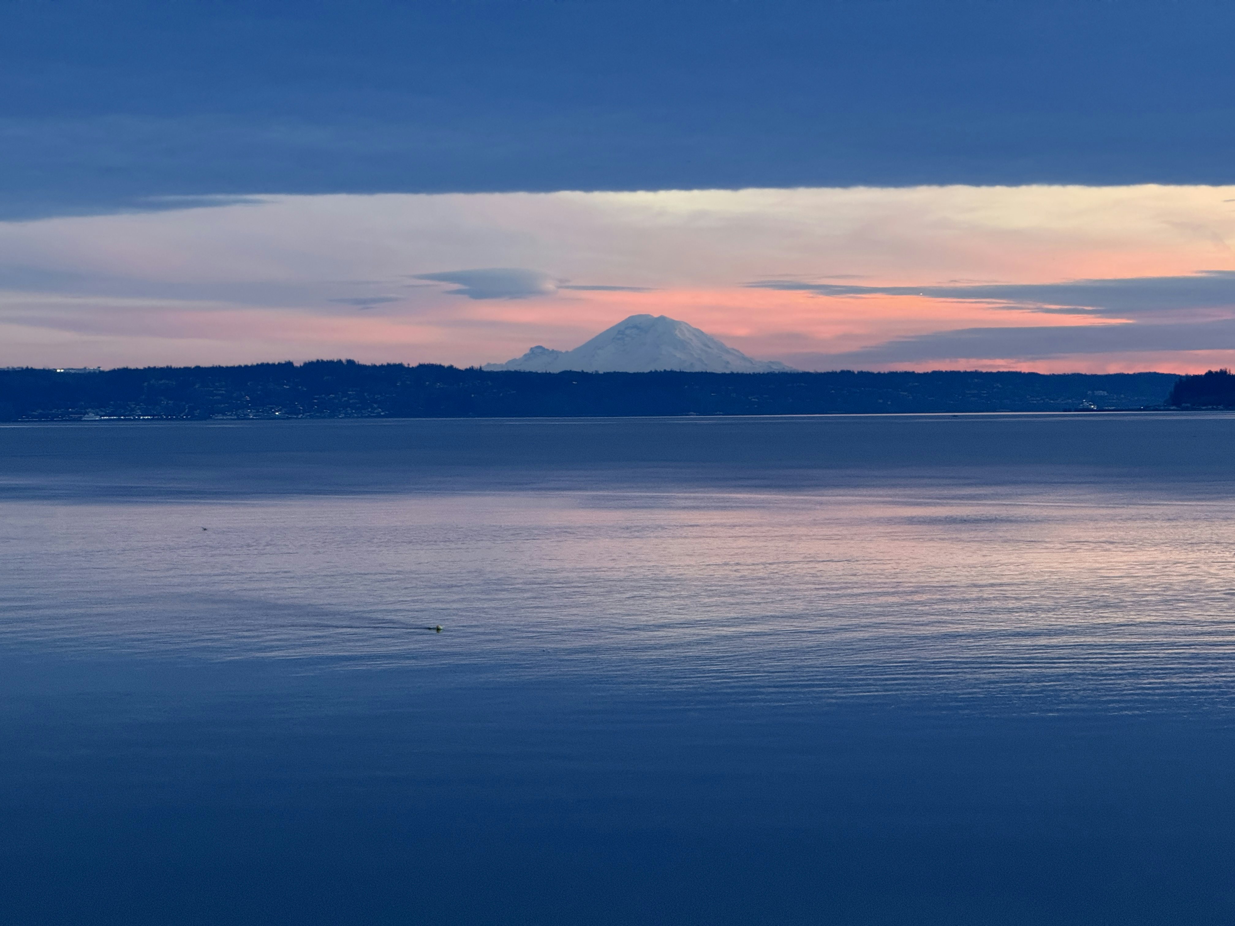 Click to View Larger