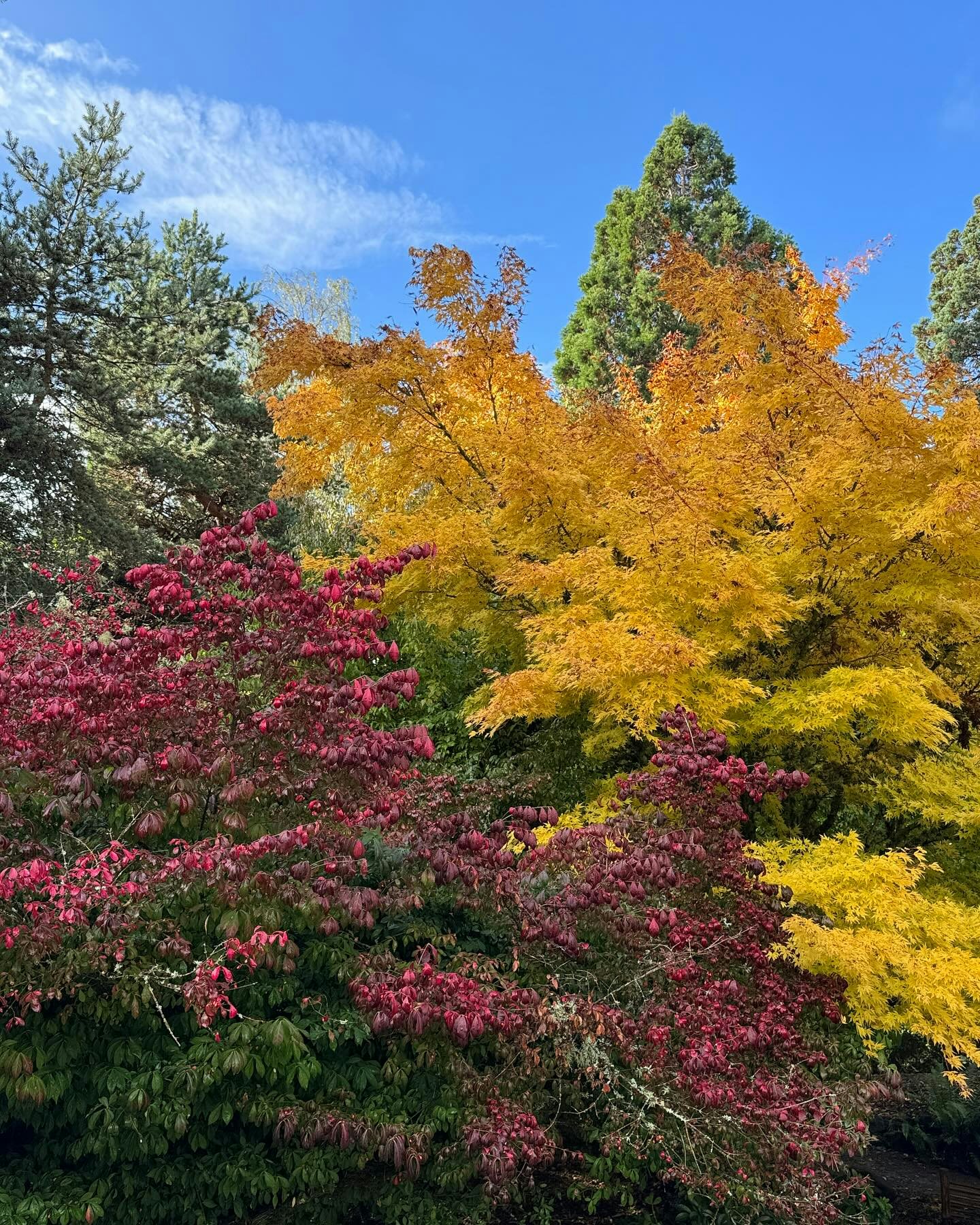 Click to View Larger