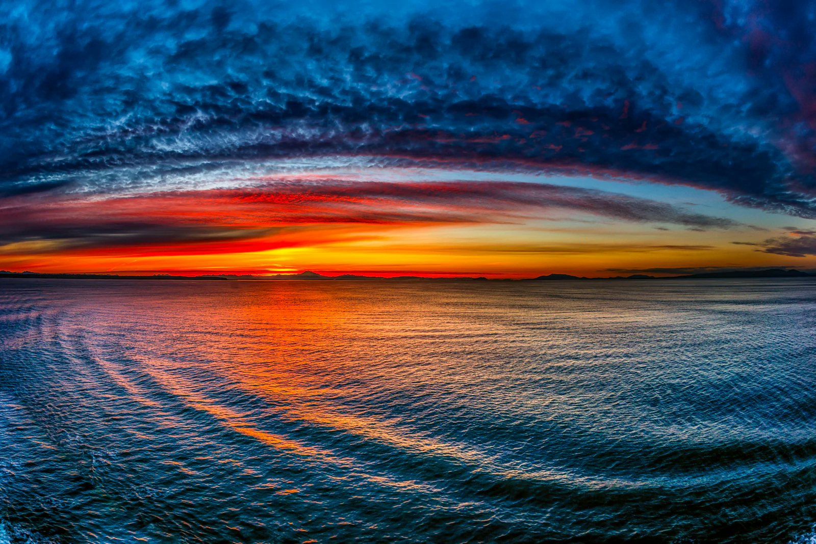 Click to View Larger