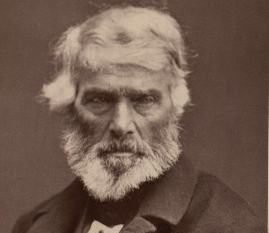 Click to View Larger