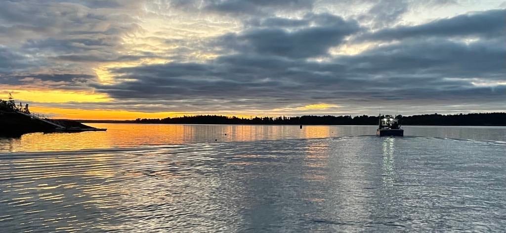 Click to View Larger