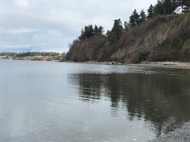 Click to View Larger