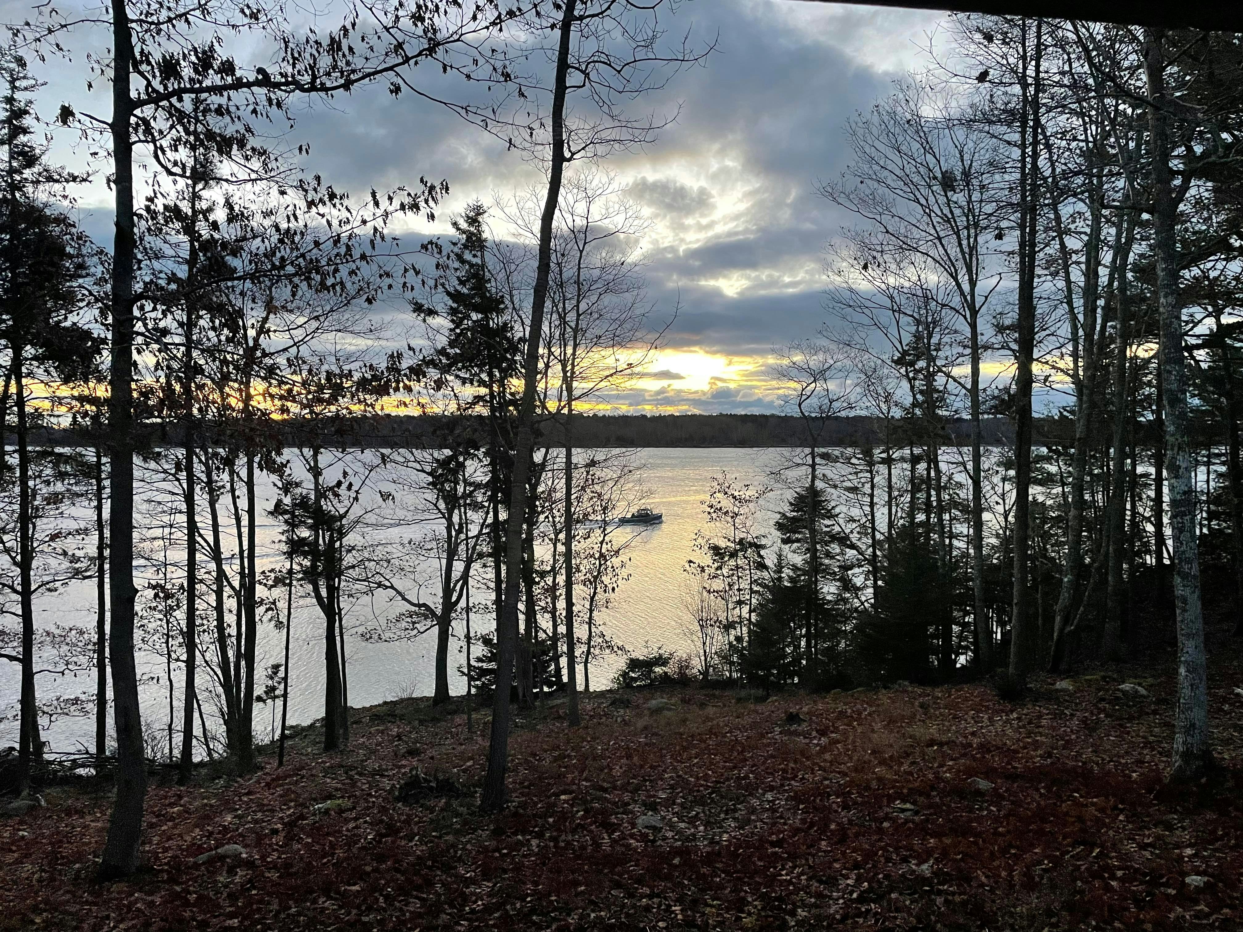 Click to View Larger