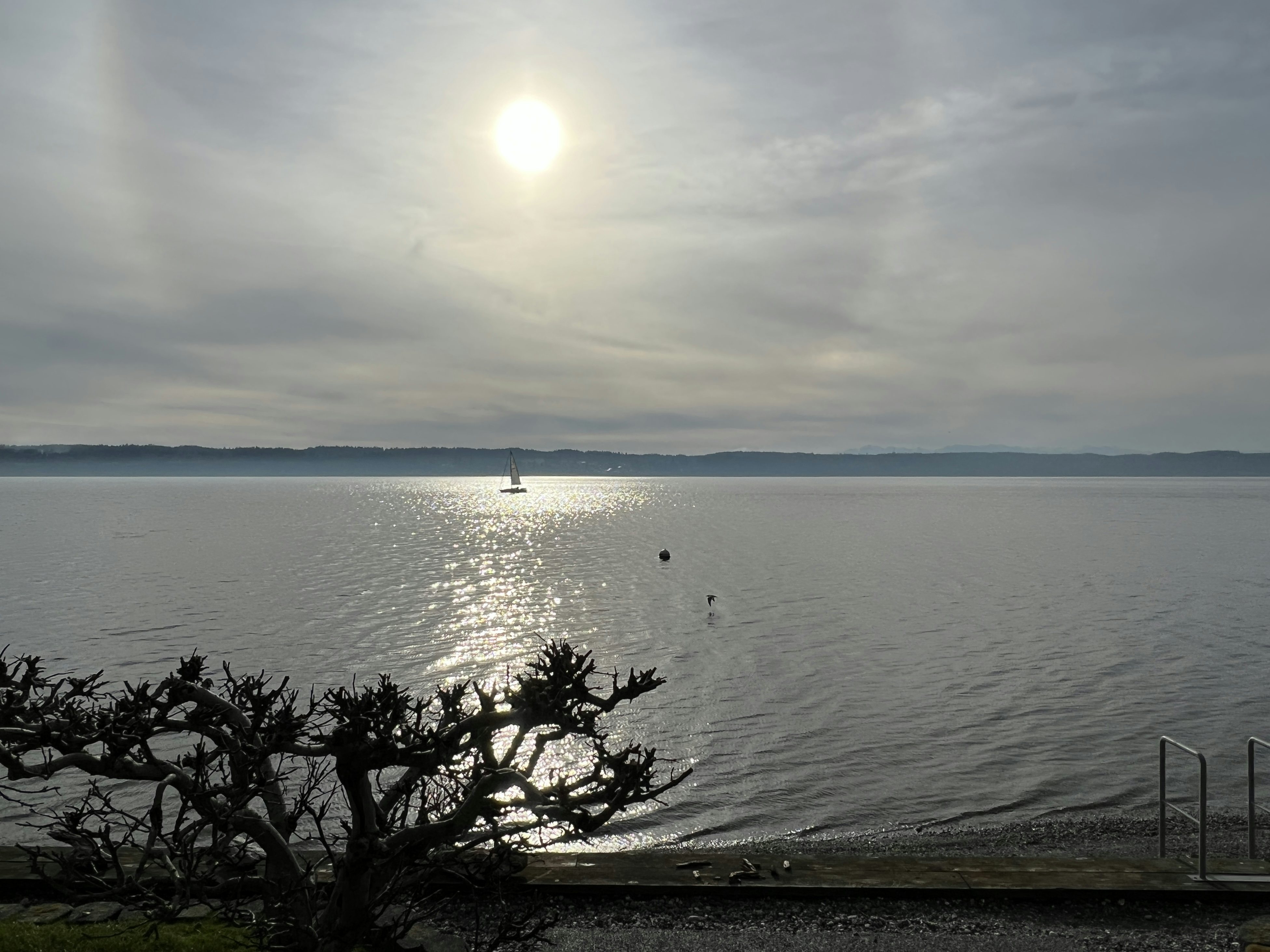 Click to View Larger