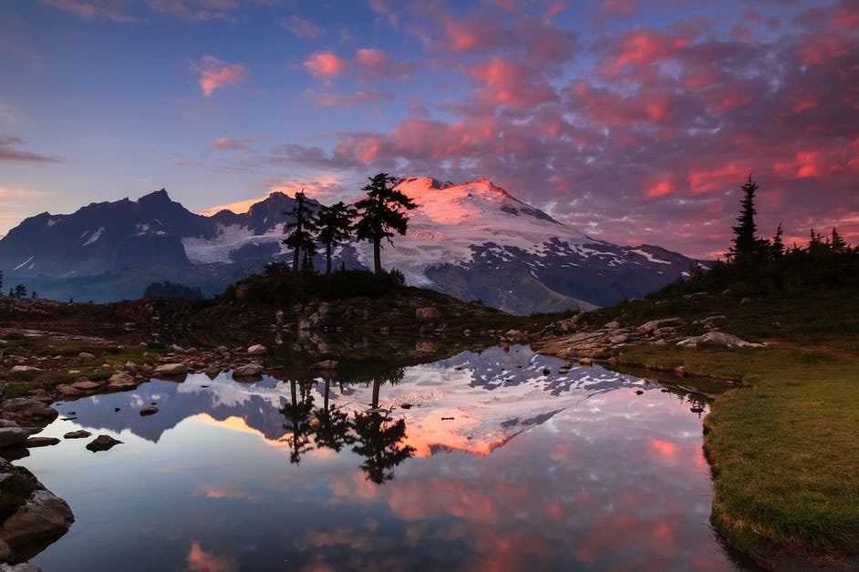 Click to View Larger