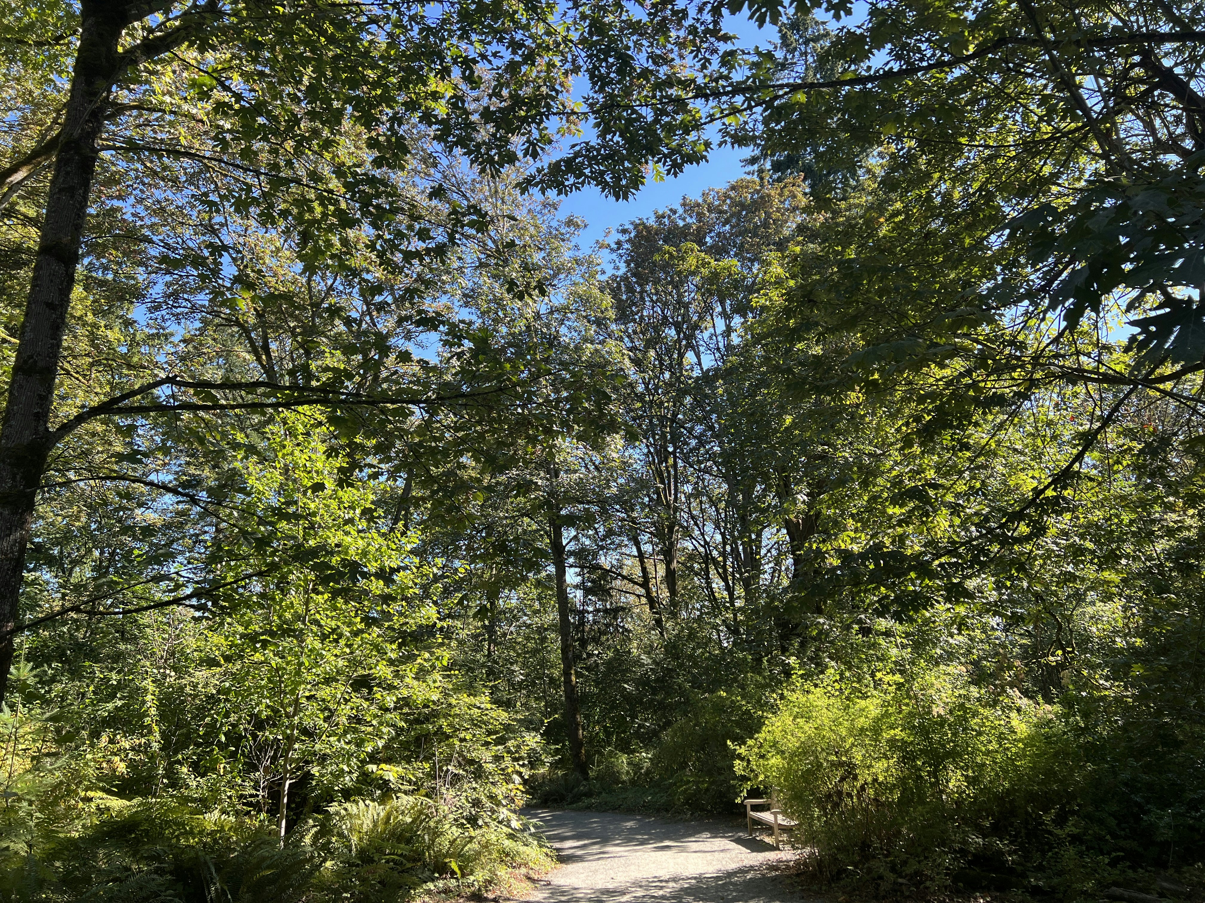 Click to View Larger