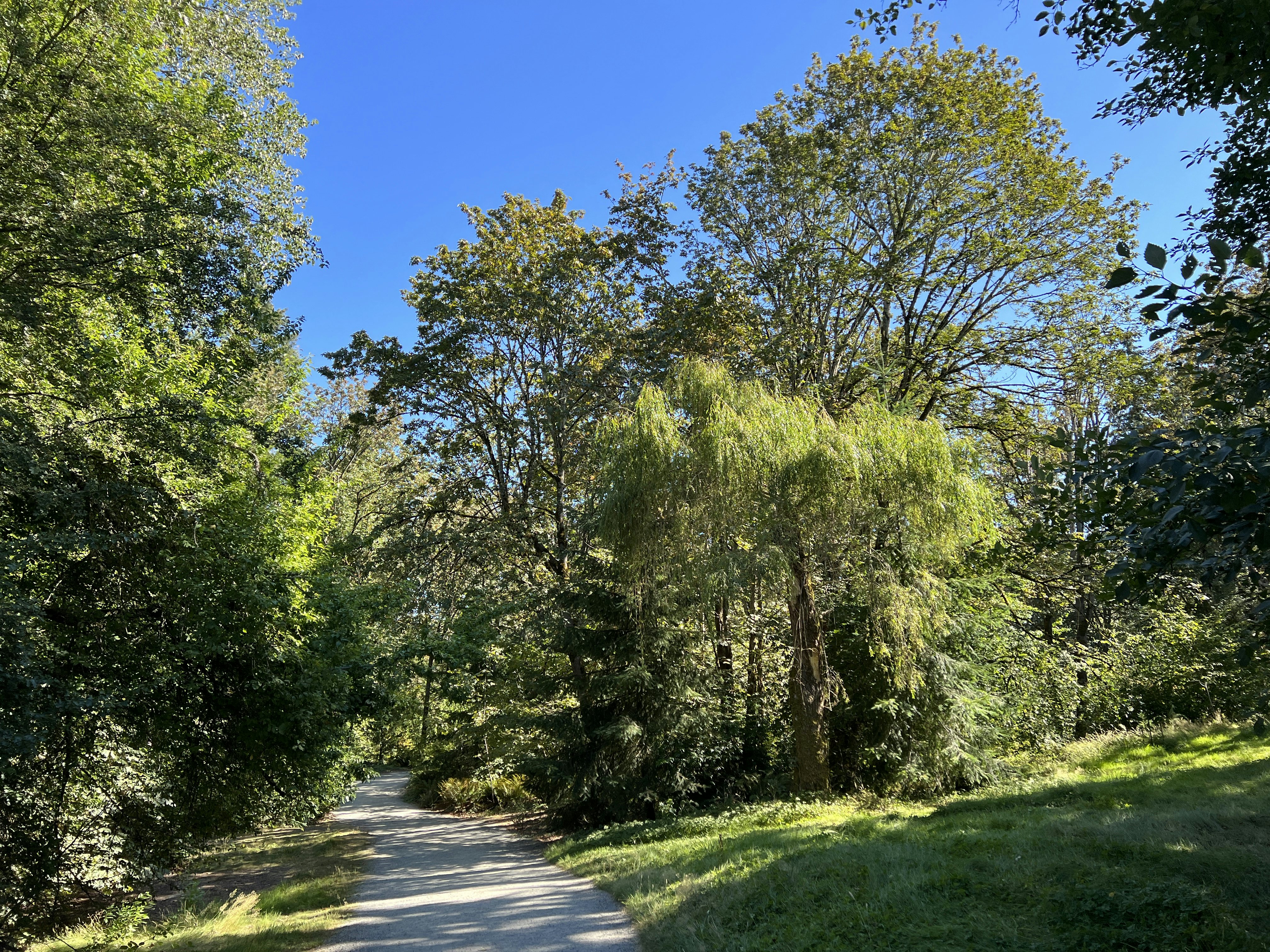 Click to View Larger