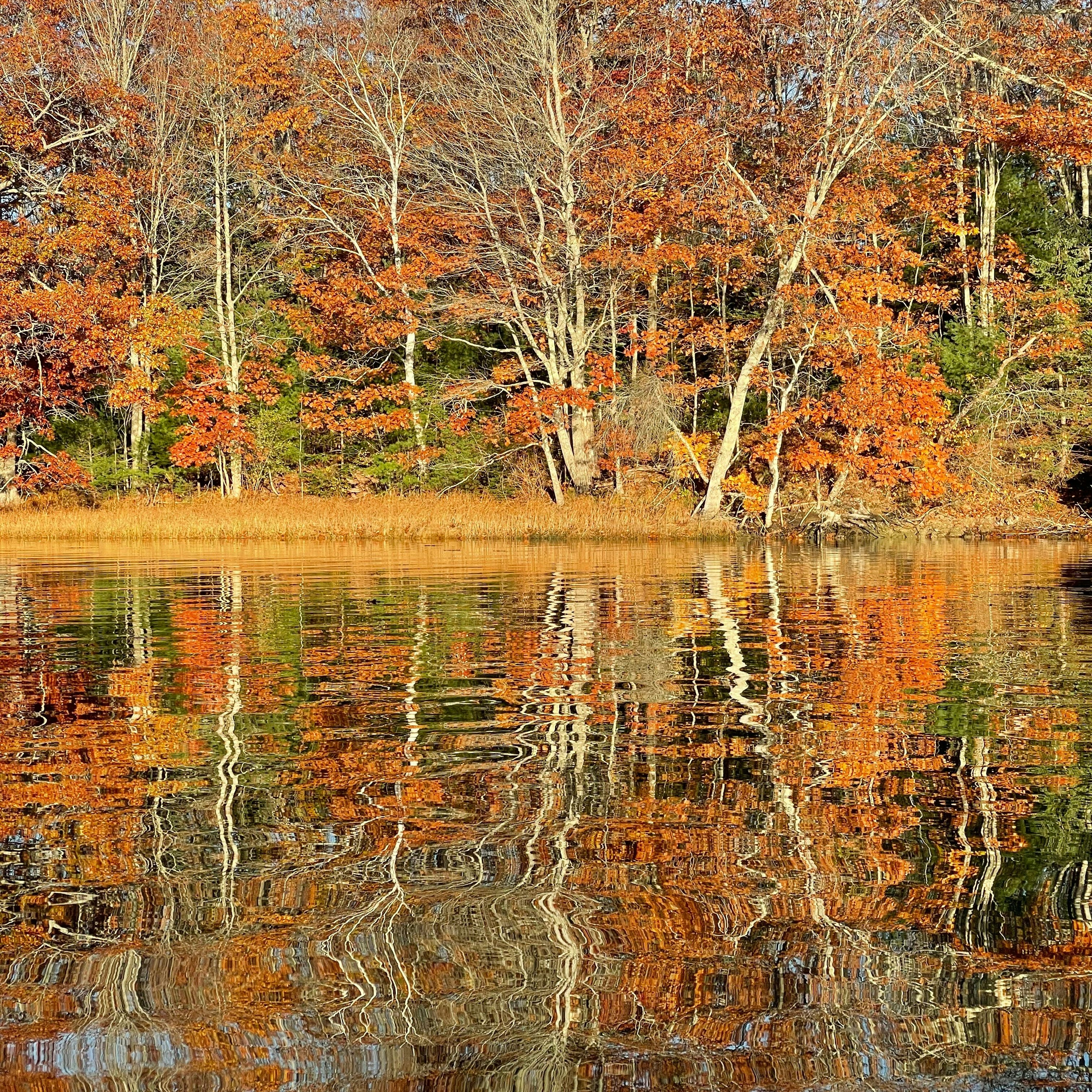 Click to View Larger