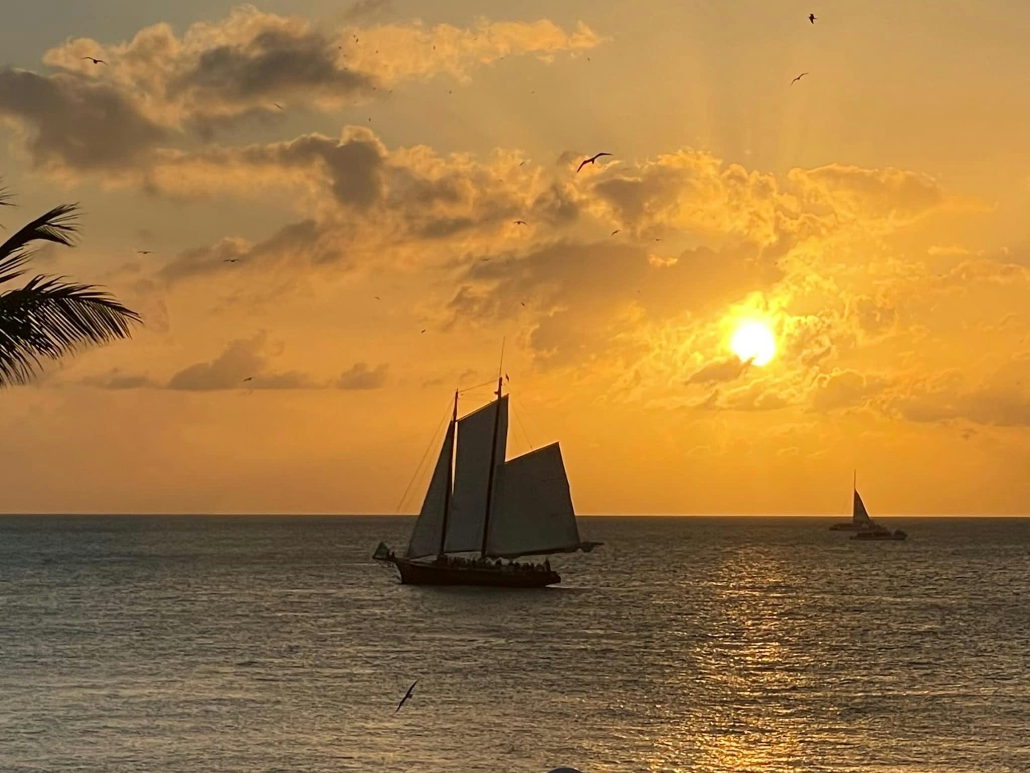 Click to View Larger