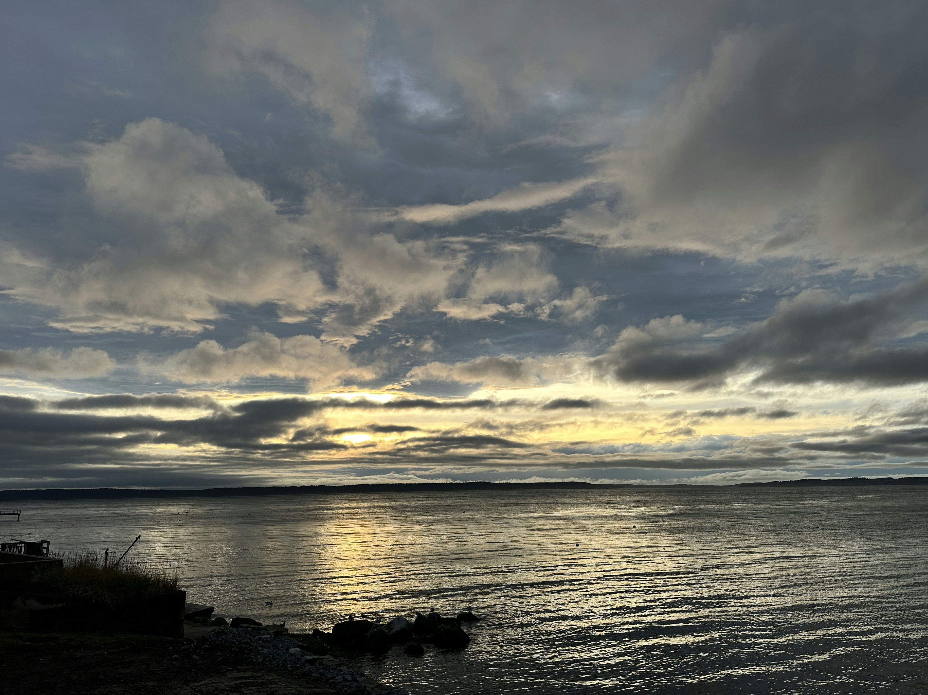 Click to View Larger